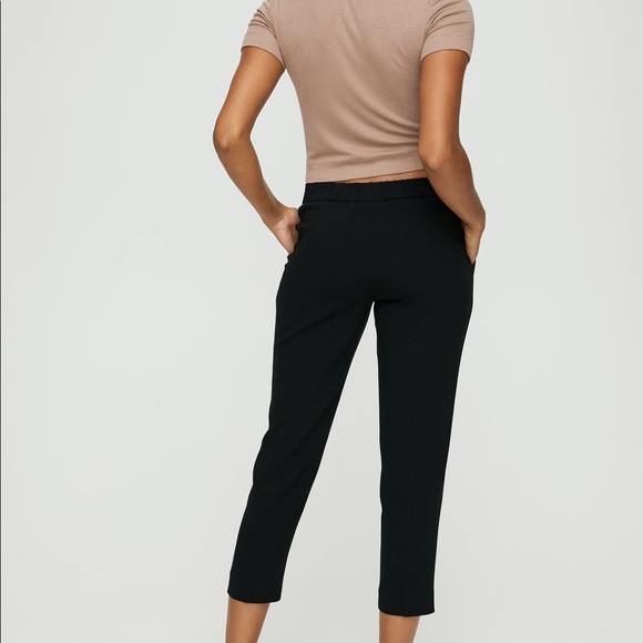 Aritzia Babaton Cohen Pleated Dress Pants - Picture 2 of 2